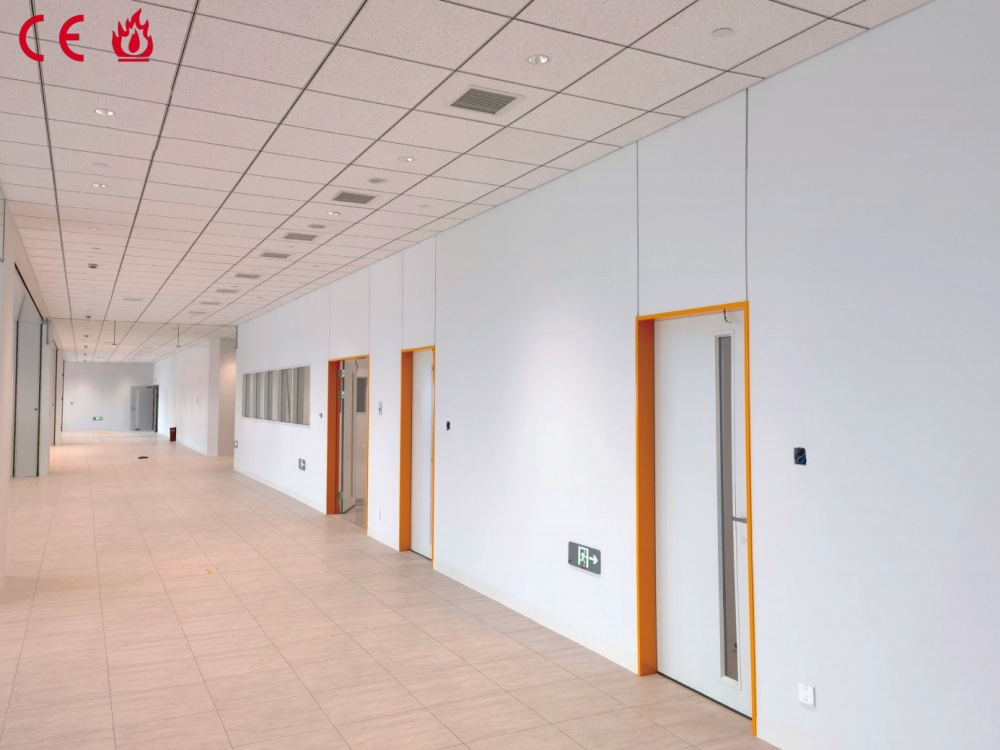 Steel fire door