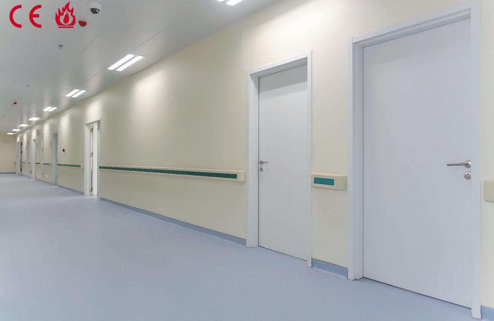 Steel office door