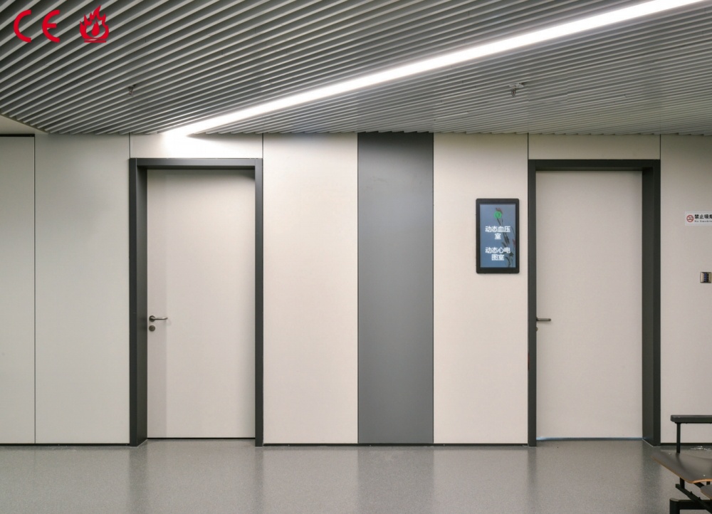 Steel office door